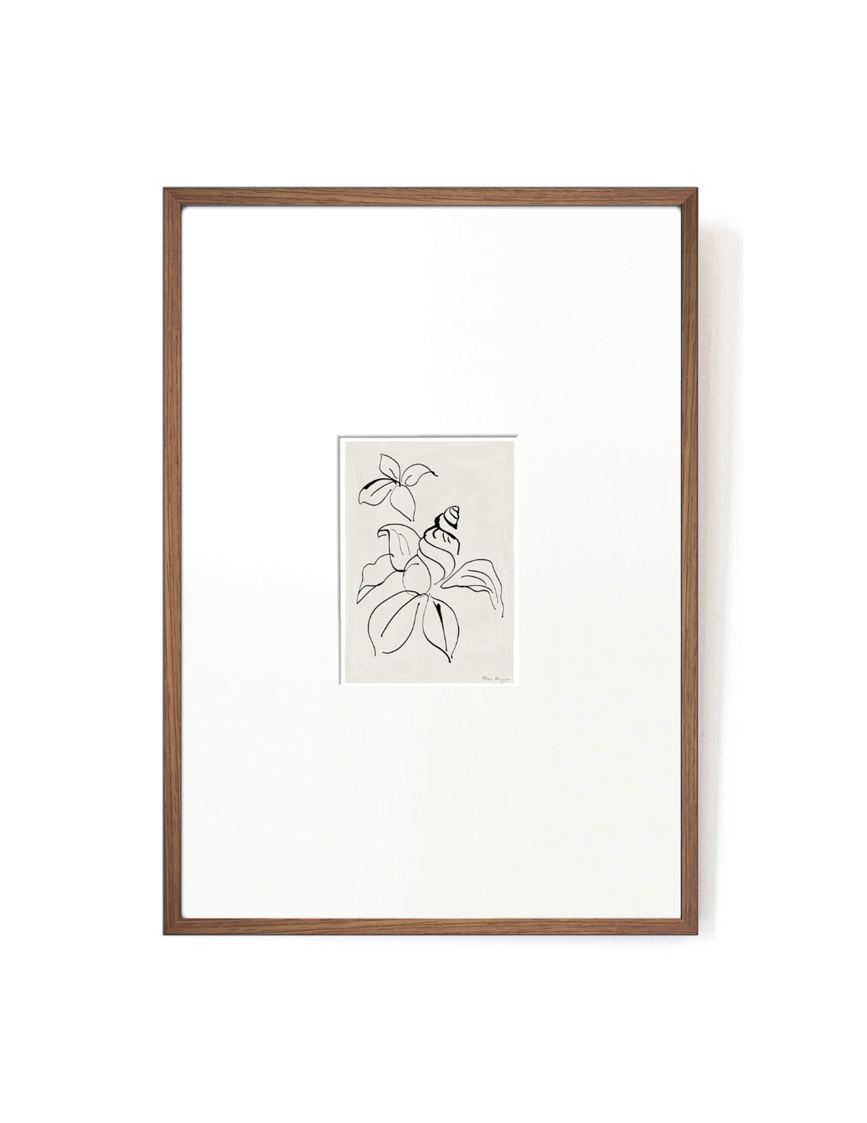 Shell Flower card artwork framed